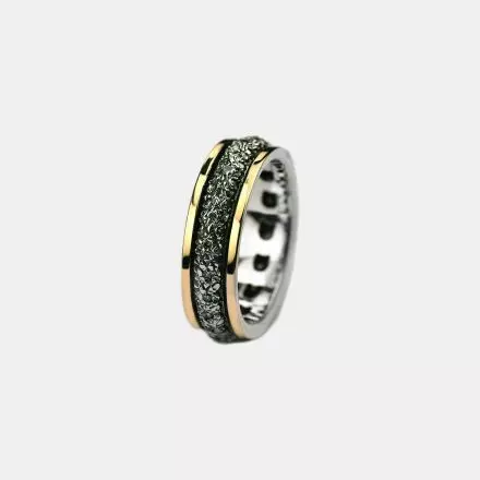 Silver Ring with Convex Silver Zircon Band and 9k Gold stripes