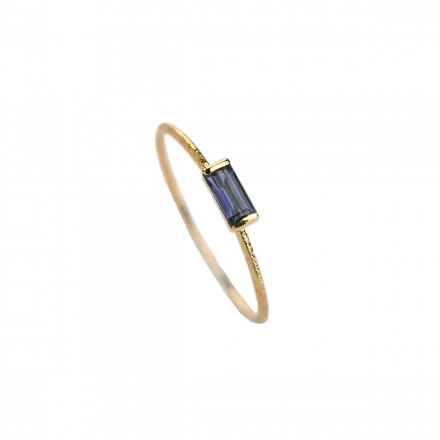 14K Gold Horizontal Small Iolite Rectangle Inspire Ring