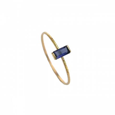  Inspire Ring - 14K Gold Vertical Small Iolite Rectangle