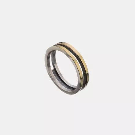 Double Band Silver Ring wrapped in 9k Gold