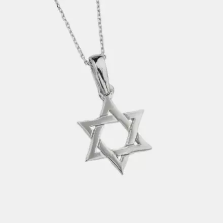 14k White Gold Necklace with Star of David