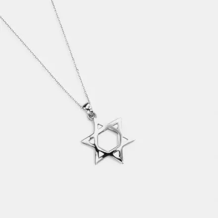 14k White Gold Necklace with Star of David