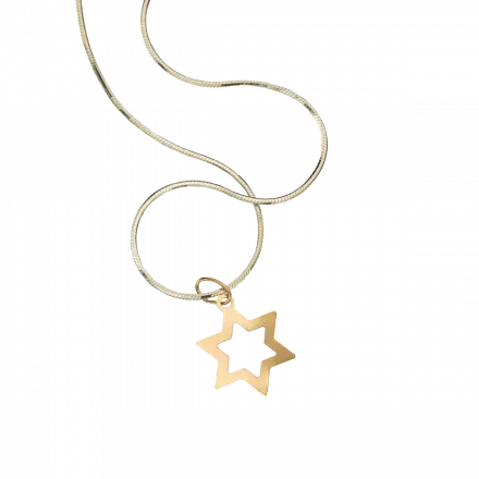 Silver Necklace with 9k Gold Star of David Pendant