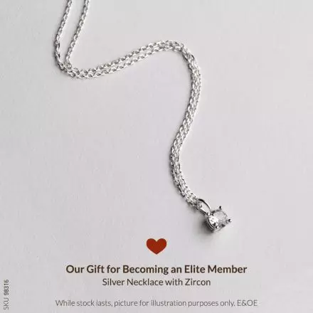 Our Gift for Becoming an Elite Member - Silver Necklace with Zircon
